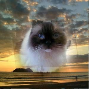 Meet your Posher, Kathryn